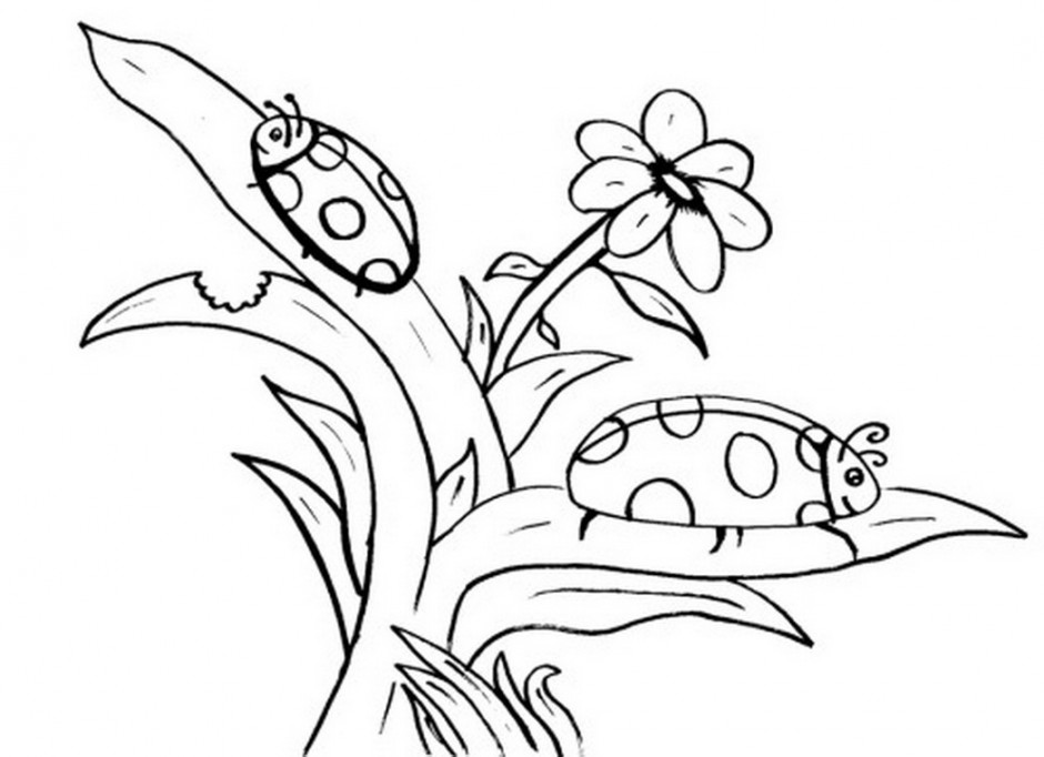 Free Ladybug Coloring Pages at GetDrawings | Free download