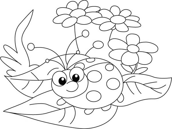 600x449 Ladybug Coloring Sheet