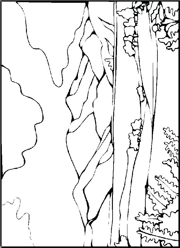 582x800 Landscape Color Pages Free Winter Landscape Coloring Pages