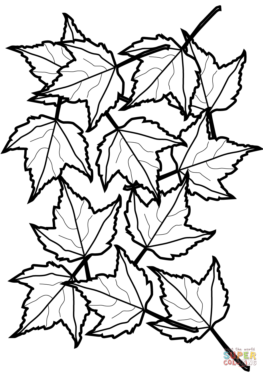 919x1300 Obsession Maple Leaf Coloring Page Autumn Leaves Free Printable