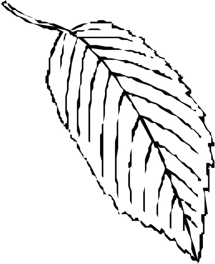 728x894 Coloring Page Leaf Coloring Pages Leaves Coloring Page