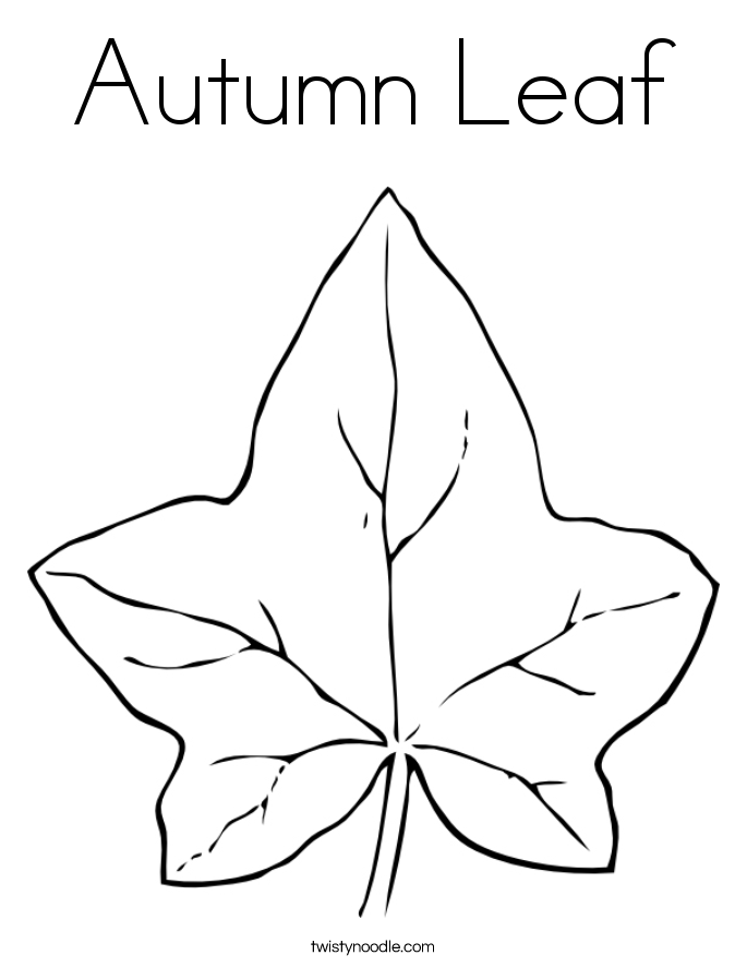 685x886 Fall Leaves Coloring Pages