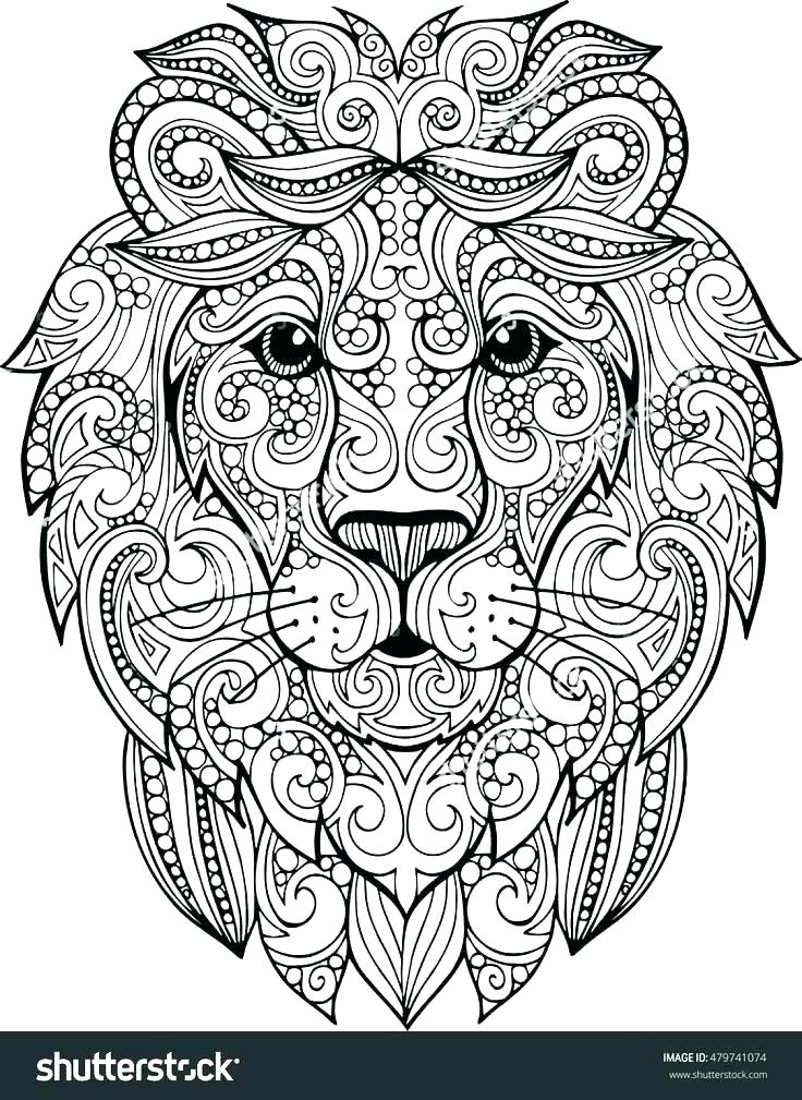 736x1009 Lion Color Page Coloring Page Lion And Mouse Bunga Lion Guard