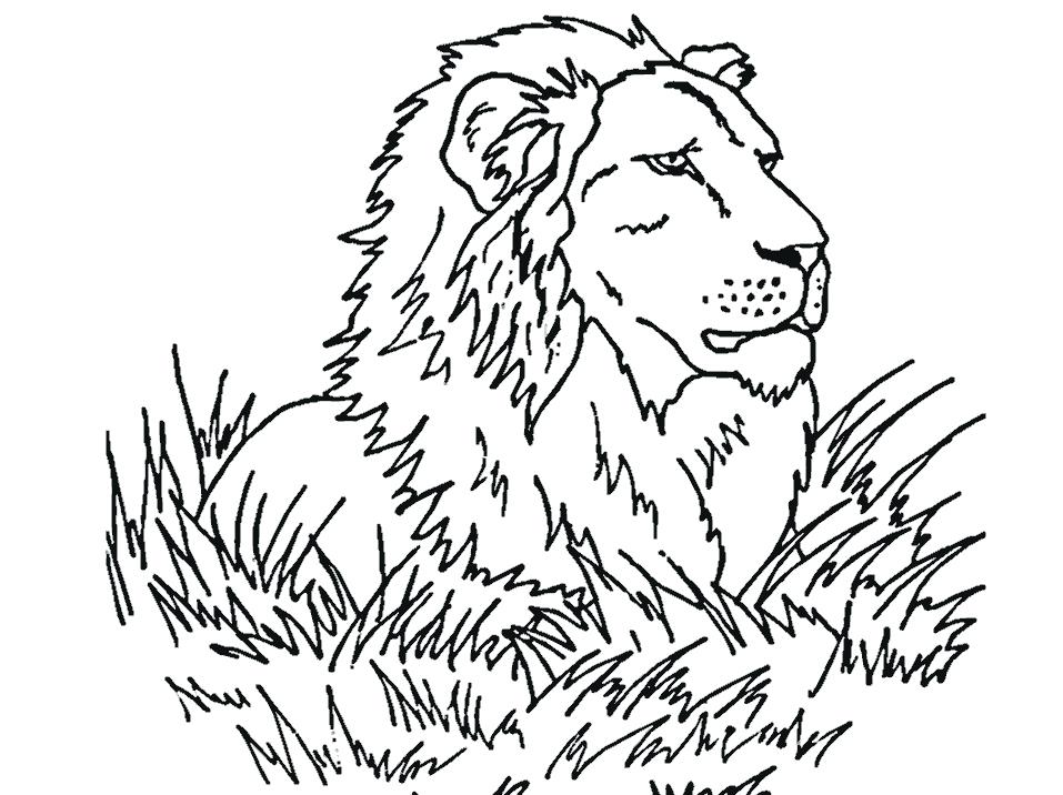 957x716 Lion Coloring Page Mountain Coloring Page Exquisite Decoration