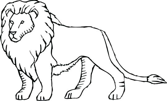 540x328 Lion Coloring Pages Lion Coloring Pages Lion King Coloring Pages