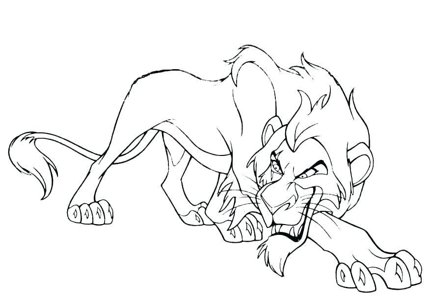 878x620 Lion Coloring Book Lion King Coloring Book Lion King Free