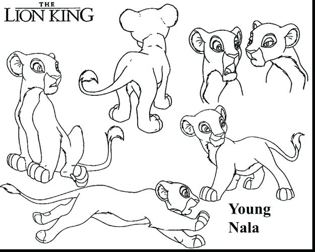 625x500 Best Free Lion King Scar Coloring Pages Design Coloring Pages Lion