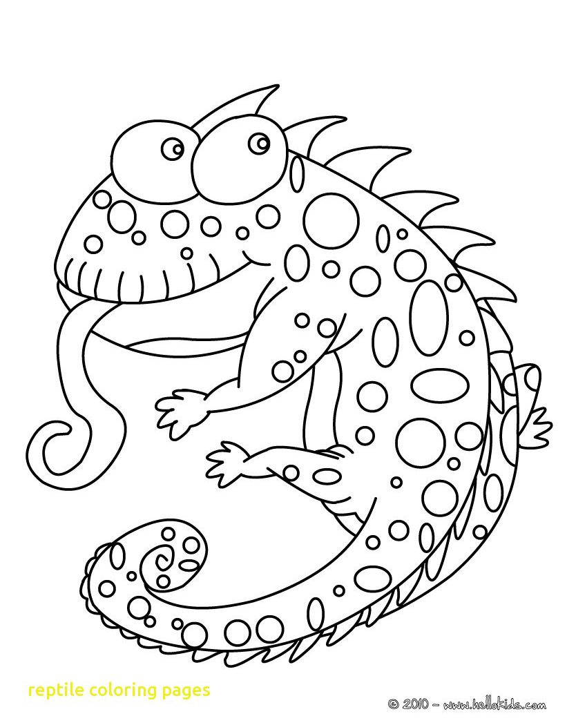 821x1050 Lizards Coloring Pages Lizard General Spiderman And Man Free