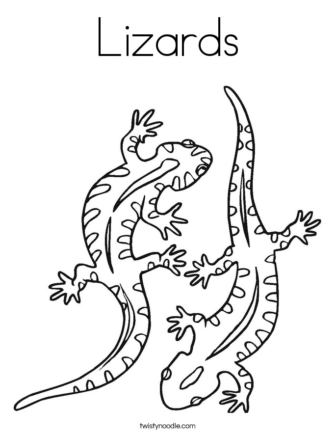 685x886 New Lizard To Color Free Printable Coloring Page For Kids
