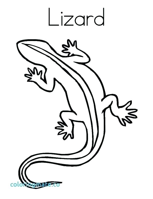 600x776 Coloring Pages Of Lizards Coloring Pages Of Lizards Lizard
