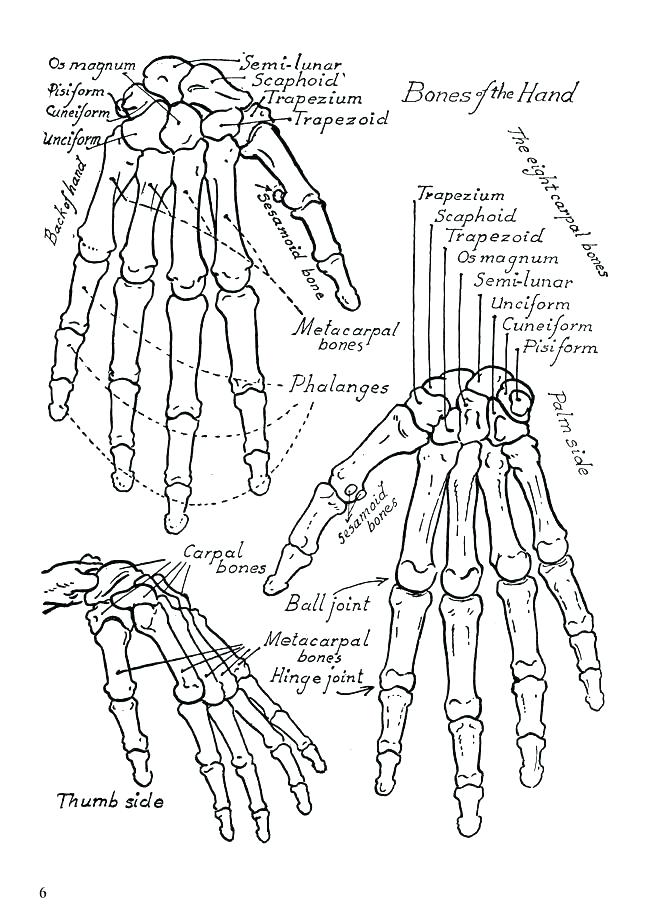 Free Medical Coloring Pages at GetDrawings | Free download