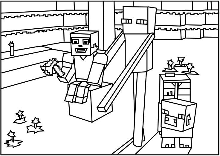 736x523 Minecraft Coloring Pages Best For Kids Exceptional Free Printable