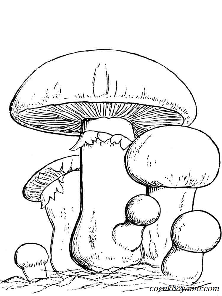 750x1000 Mushroom Coloring Page Luxury Mushroom Coloring Page Free
