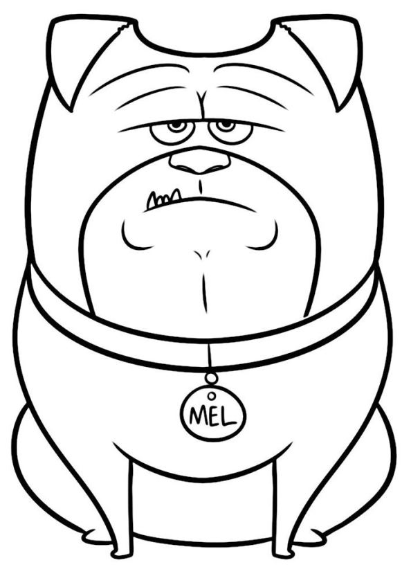 594x832 Secret Life Pets Free Coloring Pages Coloring Pages