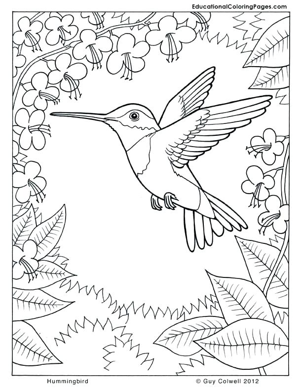 612x792 Nature Coloring Pages Free Printable Nature Coloring Pages Free