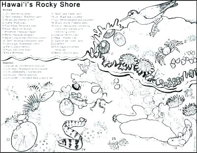 400x310 Free Nature Coloring Pages