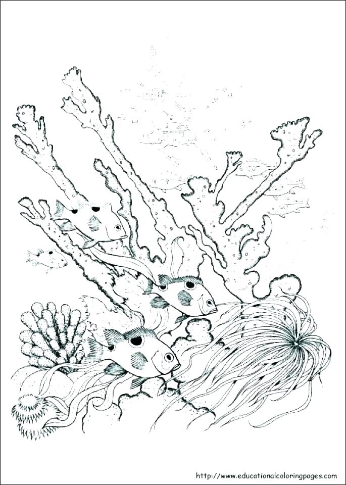 685x960 Free Nature Coloring Pages For Adults Nature Coloring Pages Free