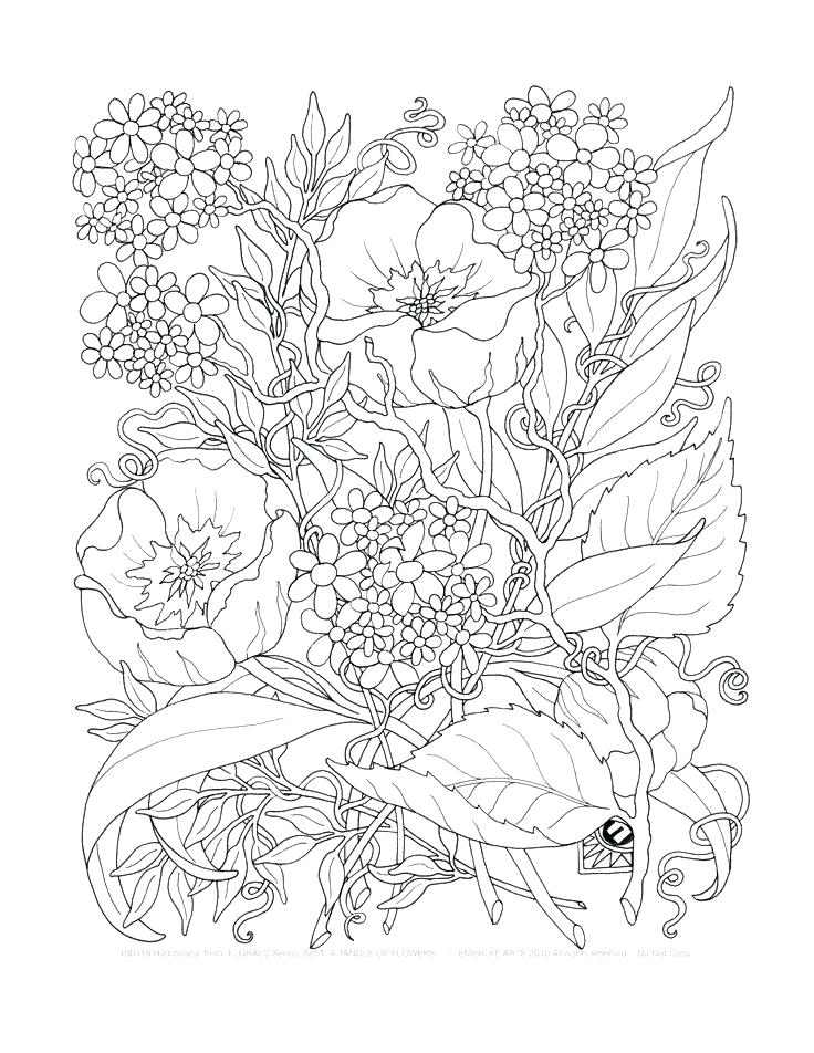 736x952 Nature Coloring Pages For Adults Backyard Animals And Nature Free