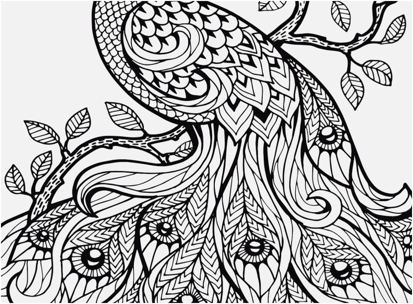827x609 Adult Coloring Pages Adult Coloring And Coloring Pages