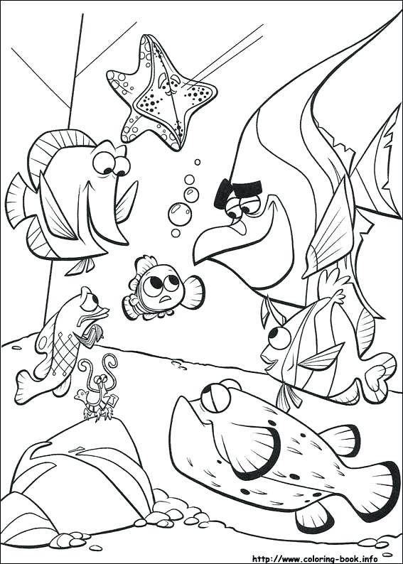 567x794 Finding Nemo Coloring Page Finding Coloring Pages Finding Pictures