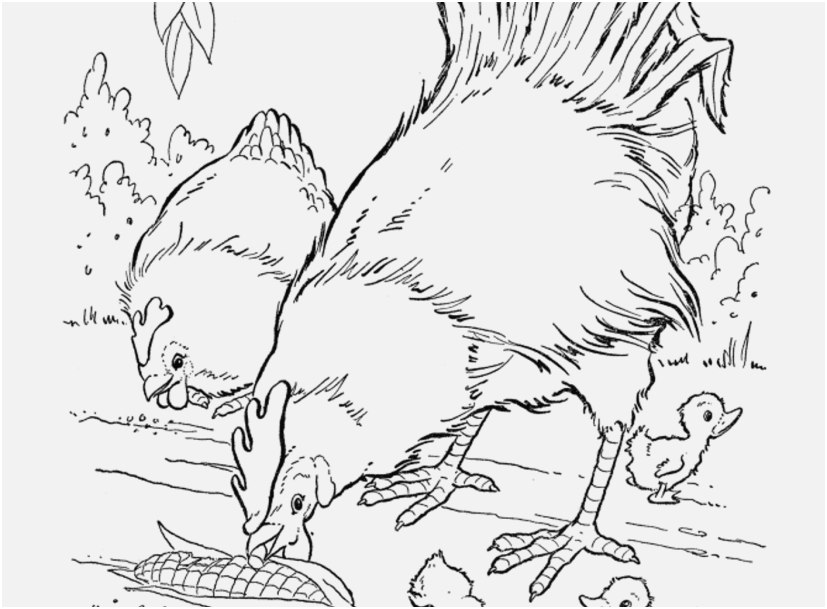 827x609 The Right Pic Noah Ark Coloring Pages Excellent