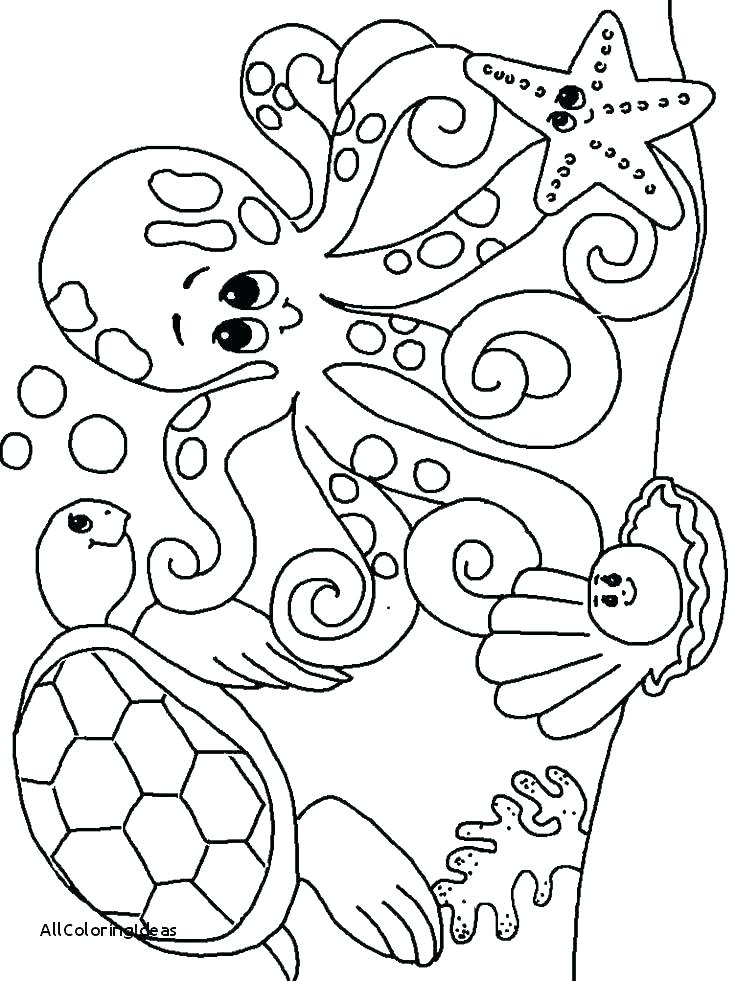 736x981 Sea Life Coloring Pages Coloring Pages Of Ocean Animals Ocean