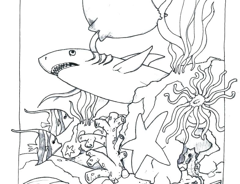 785x600 Under The Ocean Coloring Pages Fish Under The Sea Coloring Pages