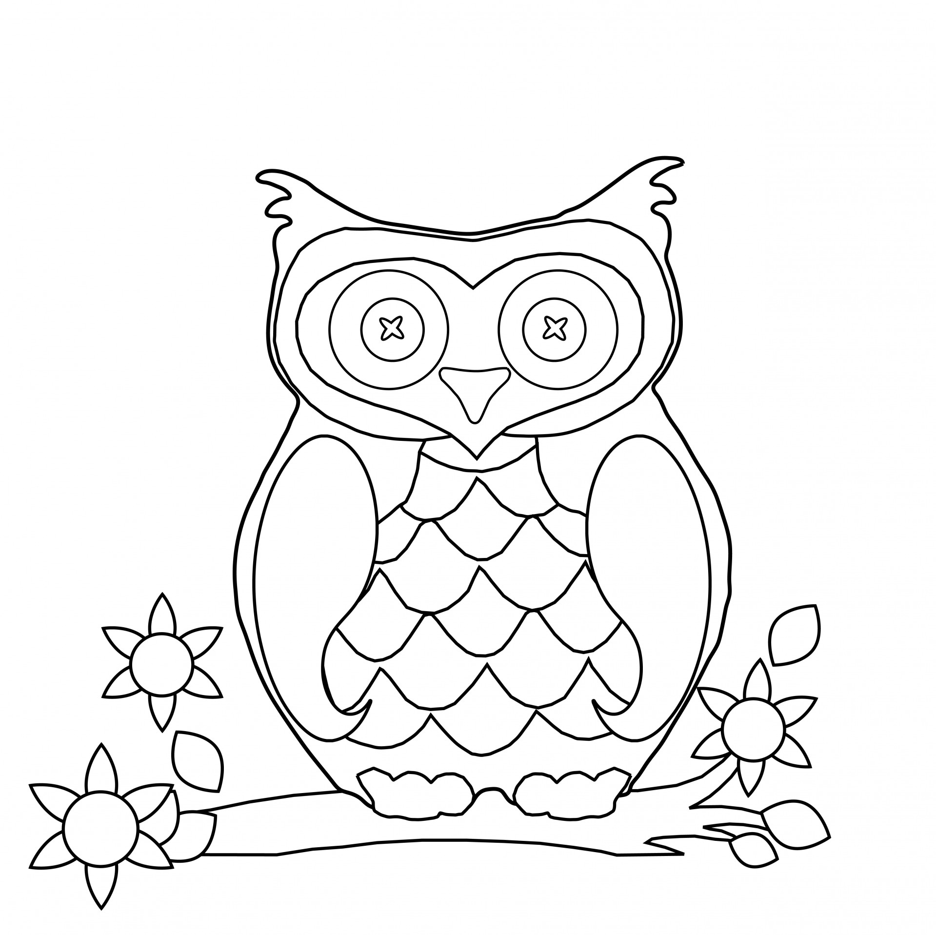 1919x1917 Owl Coloring Page Clipart Free Stock Photo