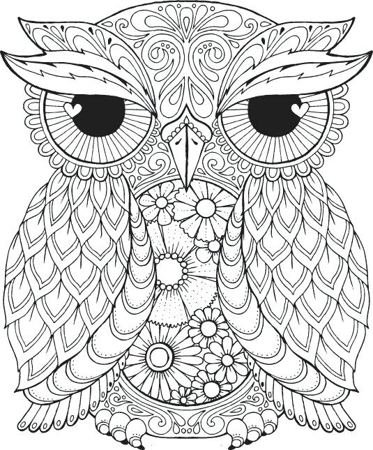 535x645 Printable Owl Coloring Pages For Adults Free Owl Coloring Pages