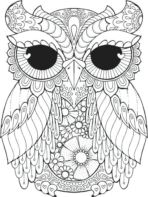 497x659 Owl Color Page Owl Coloring Pages Print Free Printable Cute Owl