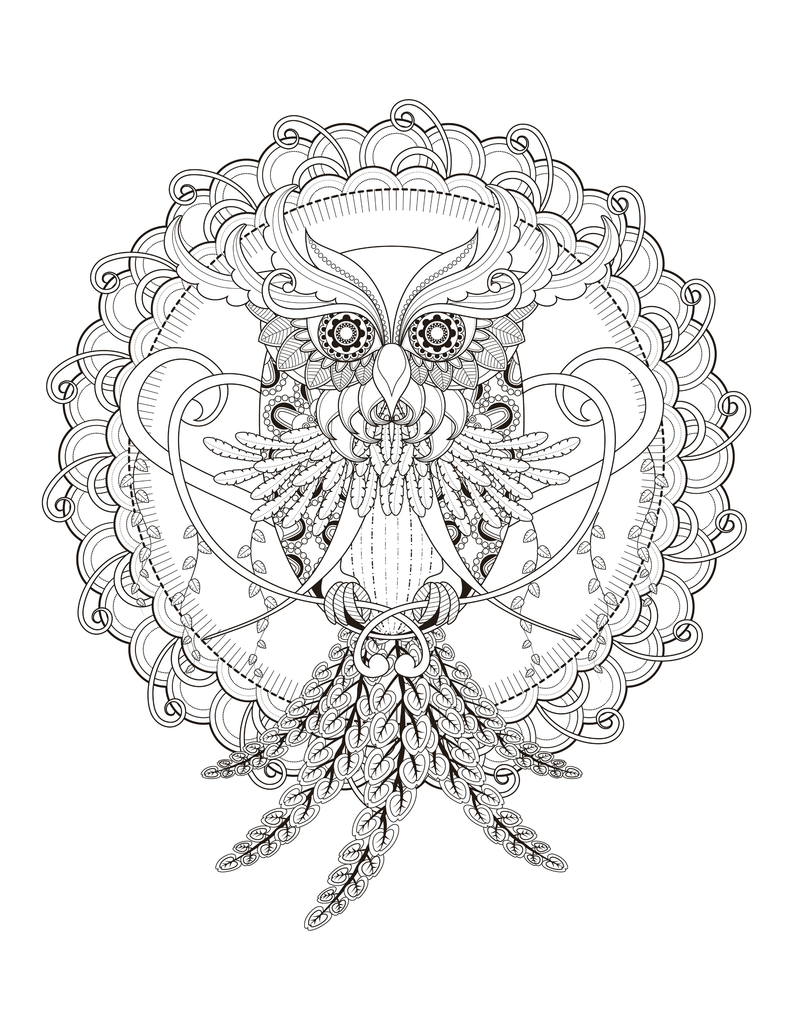 2500x3300 Owl Coloring Pages For Adults Free Detailed Owl Coloring Pages
