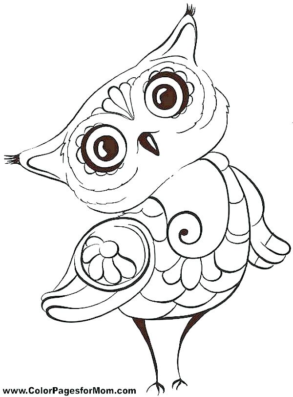 600x812 Owl Color Pages Free Owl Coloring Pages Owl Color Page Pin Drawn