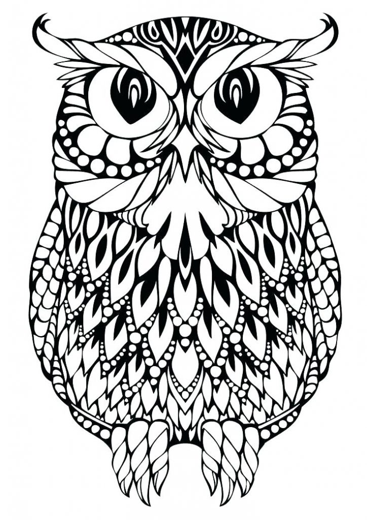 724x1024 Owl Coloring Page Printable Owl Coloring Pages Owl Printable