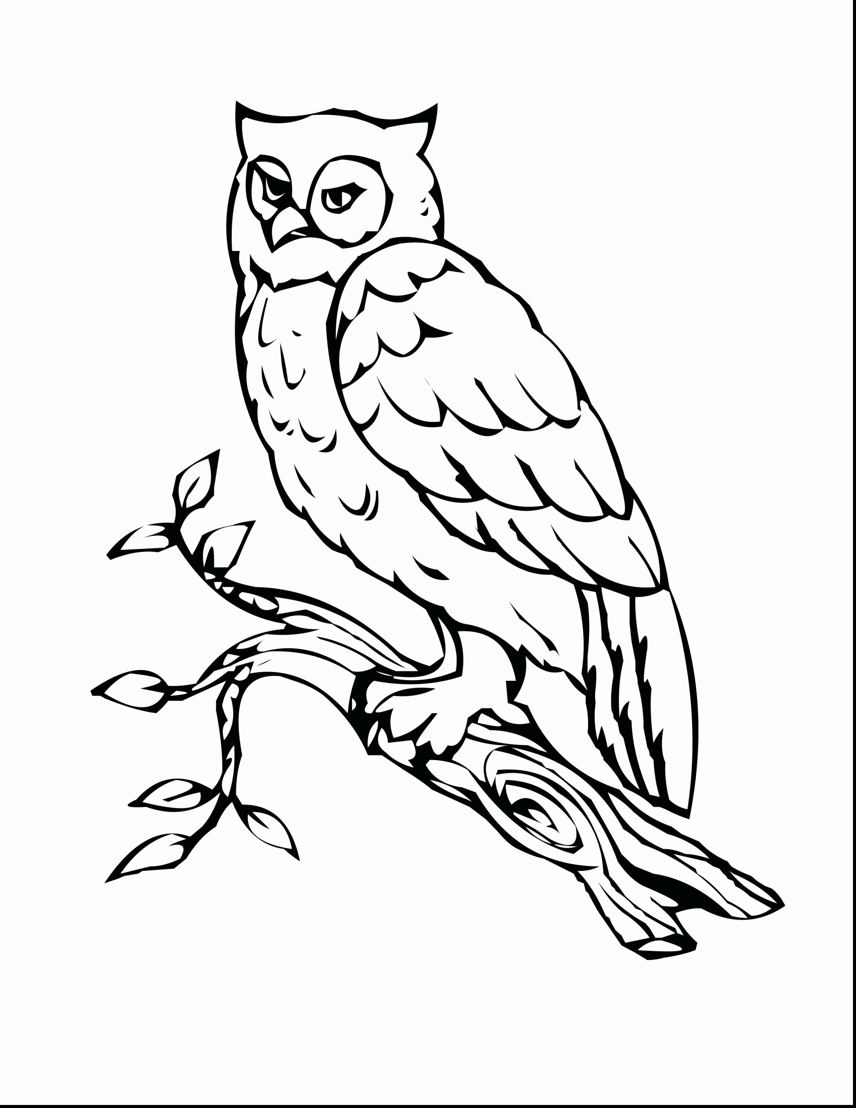 2805x3630 Owl Coloring Pages Elegant Cool Coloring Printables Free Placemats