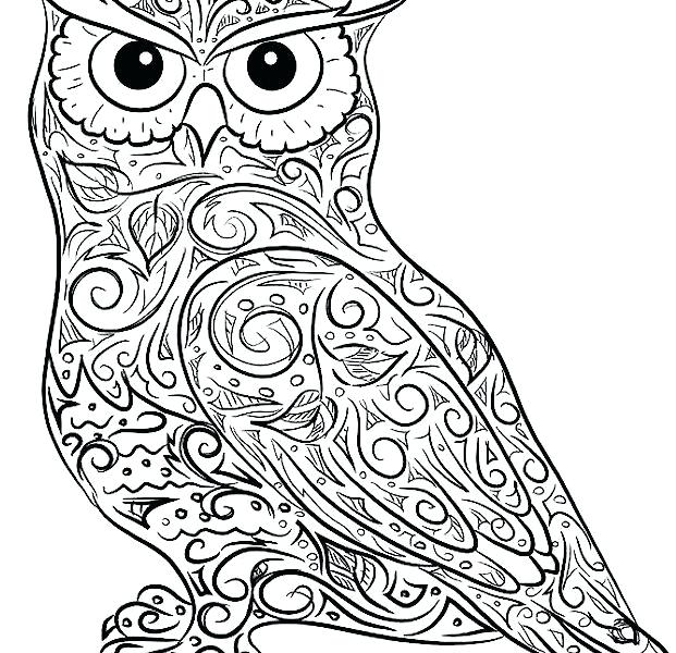 621x600 Owl Coloring Pages Free Printable Best Owl Coloring Pages Ideas
