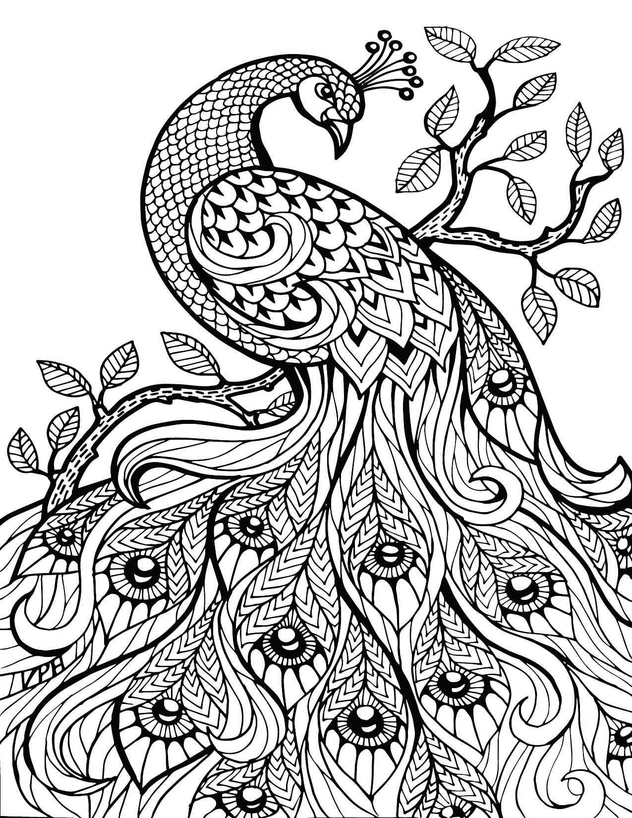 1275x1650 Free Printable Paisley Coloring Pages