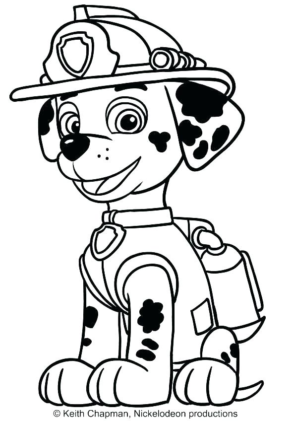 589x850 Paw Print Coloring Pages Paw Print Coloring Pages Cattle