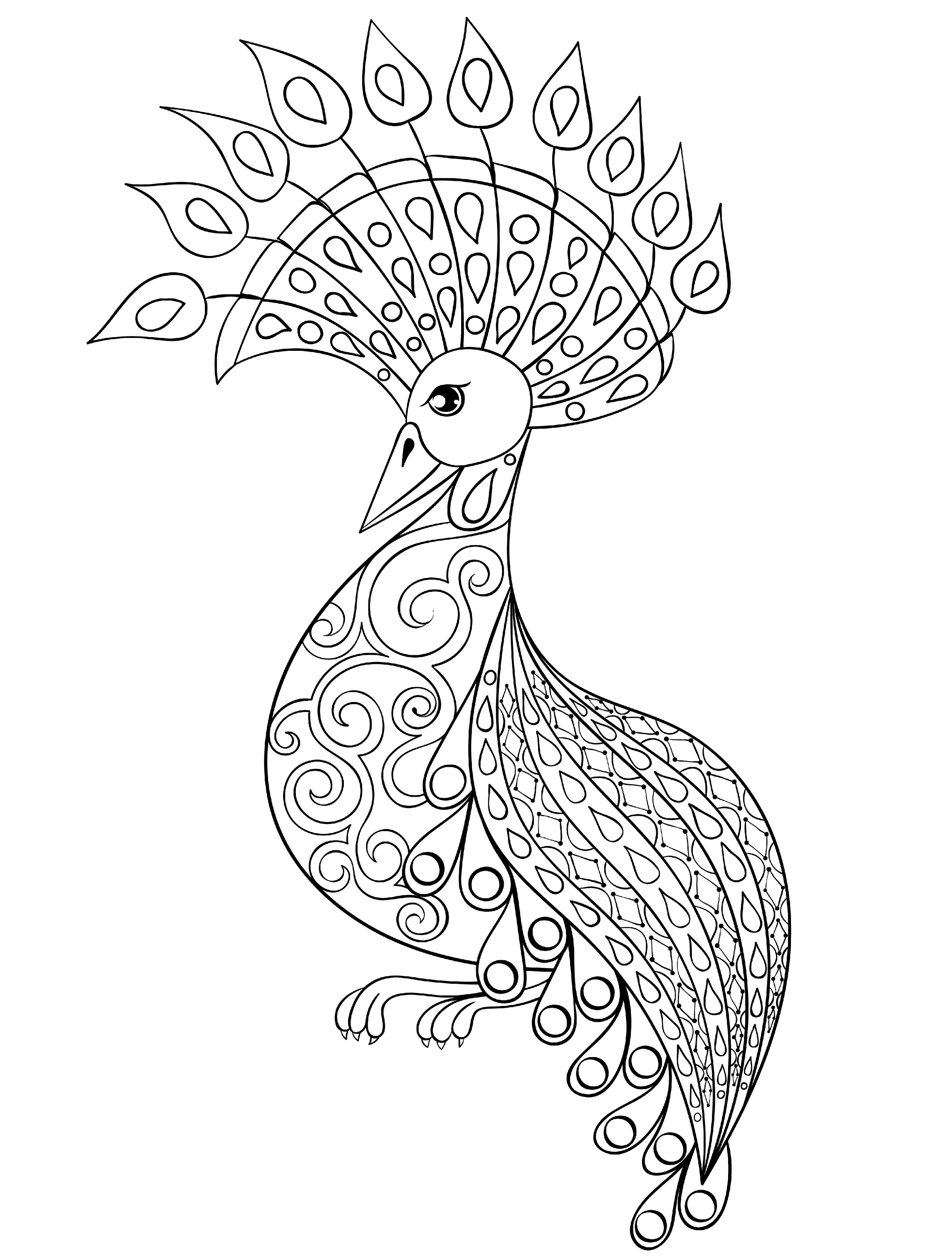 Free Peacock Coloring Pages