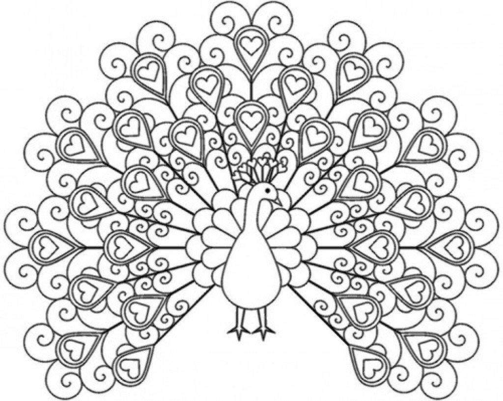 1024x817 Free Printable Peacock Coloring Pages For Adults Best Of Printable
