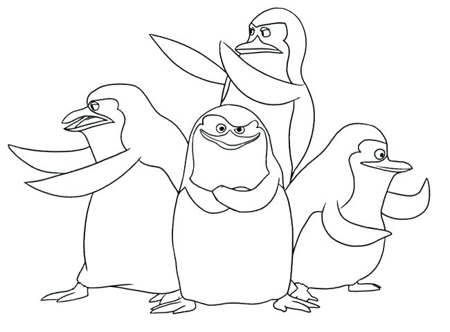 650x480 Printable Penguin Coloring Pages