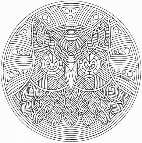 500x501 Mandala Adult Coloring Pages Best Free Printable Abstract Coloring