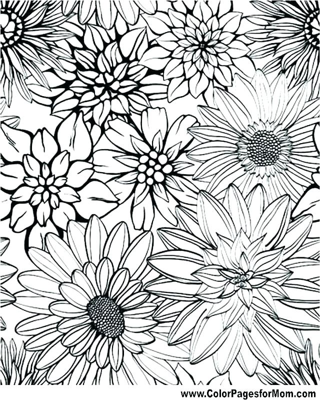 640x799 Free Advanced Coloring Pages Free Advanced Coloring Pages