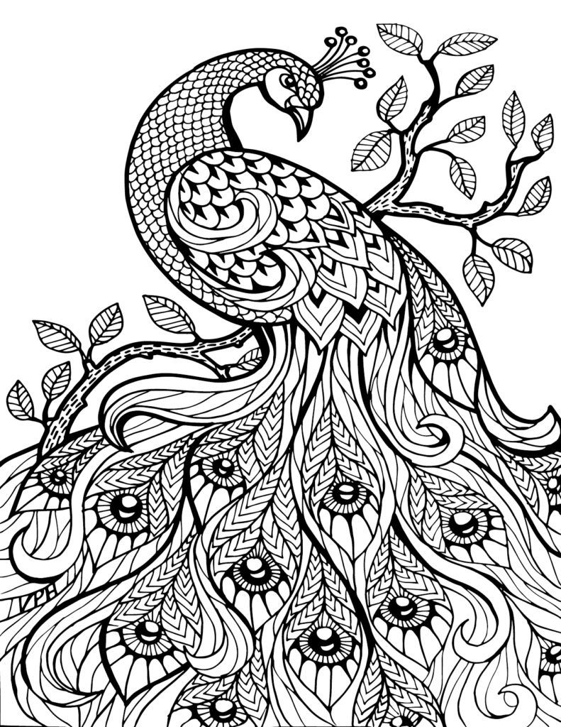 Free Printable Advanced Coloring Pages at GetDrawings | Free download