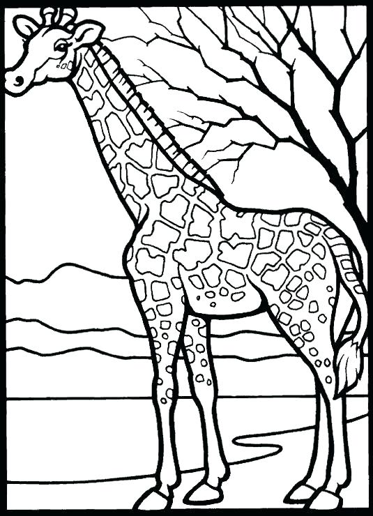 535x740 Printable Coloring Pages For Kids Color Pages Printable Coloring