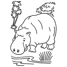 230x230 Top Free Printable Jungle Animals Coloring Pages Online