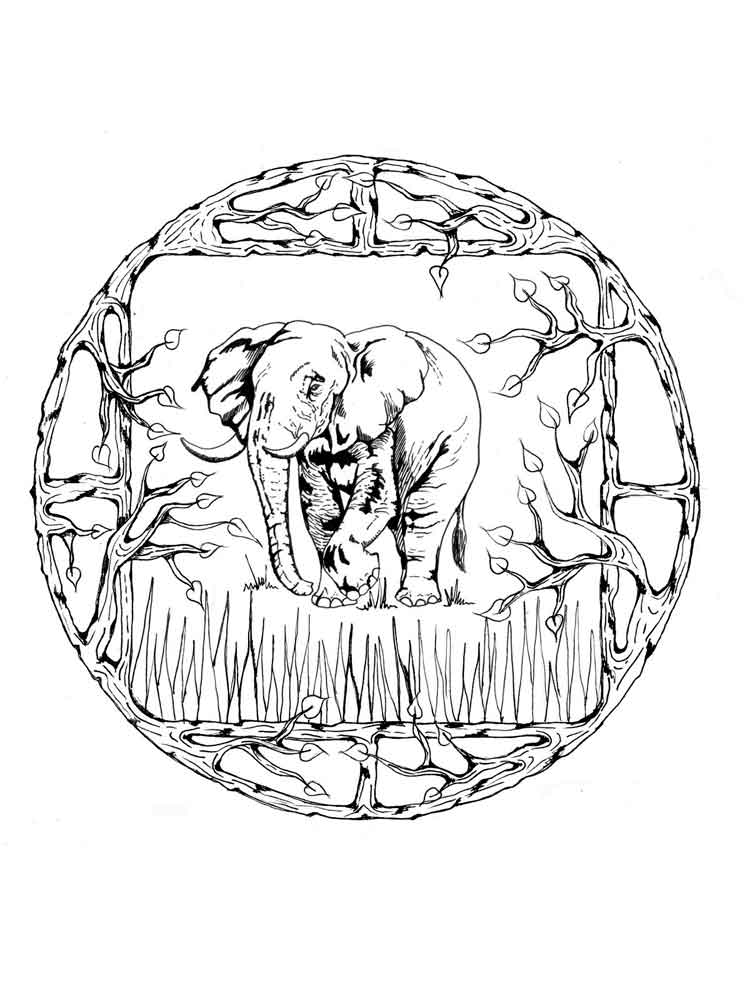 750x1000 Animal Mandala Coloring Pages For Adult Free Printable Animal