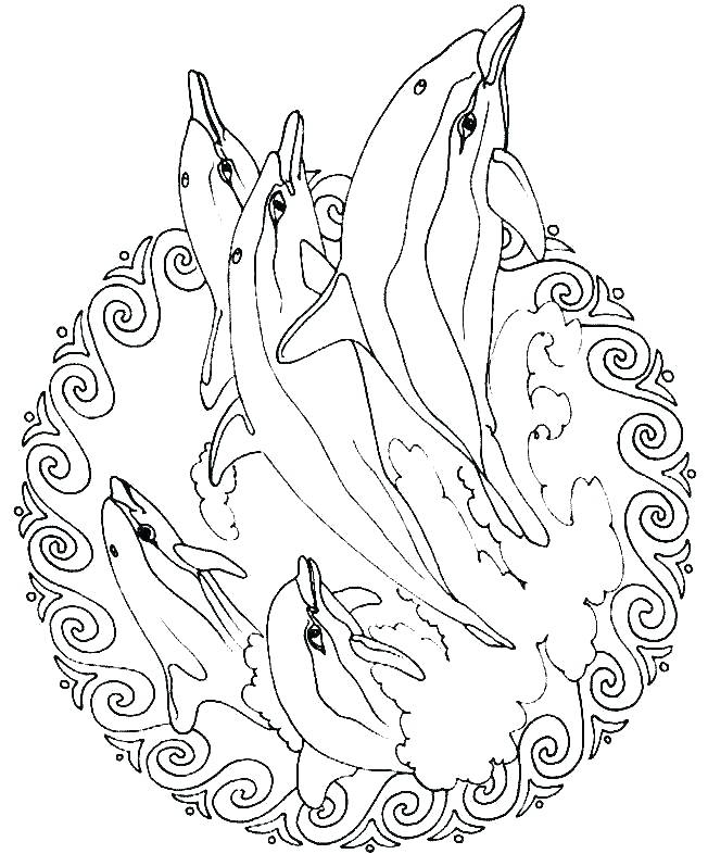 652x786 Printable Animal Mandalas Free Mandala Coloring Pages To Print