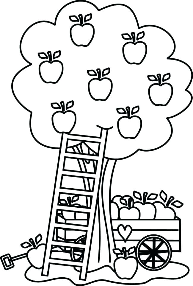649x960 Coloring Page Apple Fruit Coloring Pages For Preschoolers Apple