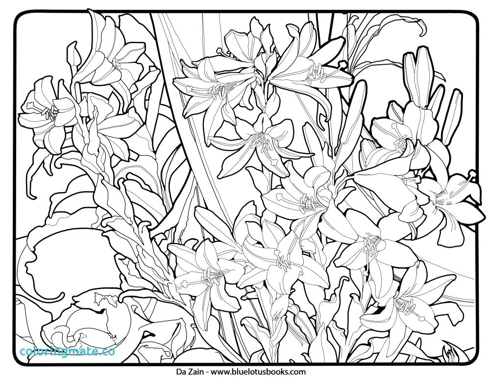 1000x773 Art Nouveau Coloring Pages Free Printable Also Moon Goddess