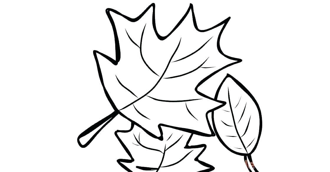 1120x584 Leaves Coloring Pages Autumn Coloring Pages Free Printable